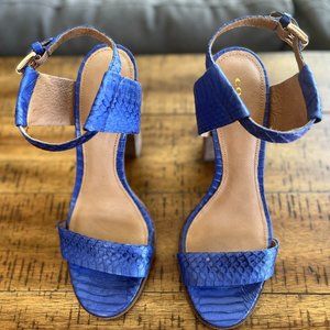 Coach Lexey Blue Cobalt Snake Embossed Sandals 8.5